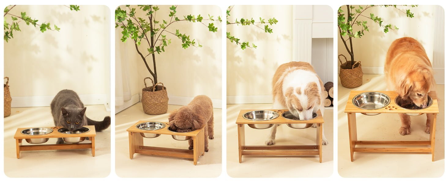 elevated dog bowls for medium dogs