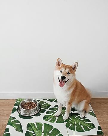 Pawkizz Waterproof Pet Food Mat