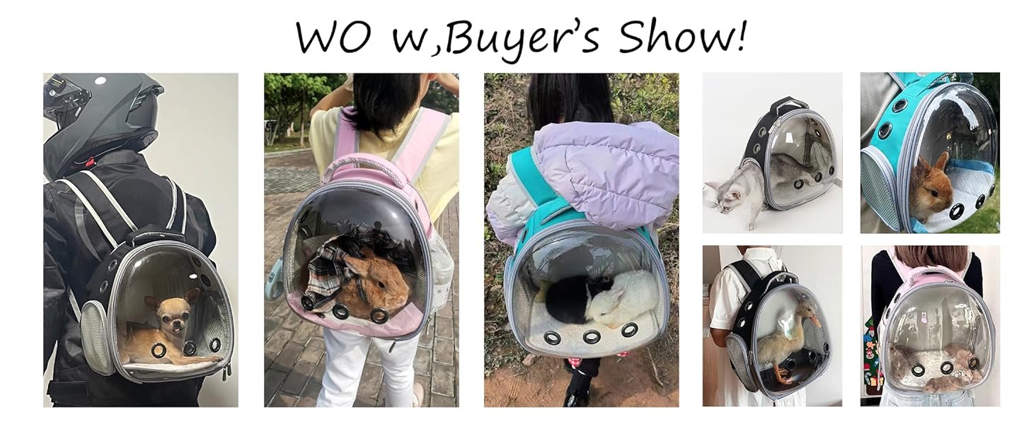 small animal carrier
