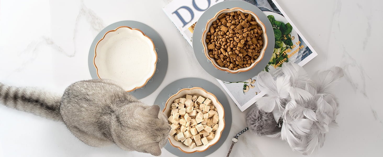 CAT BOWL