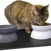 Topsats Kitty City Raised Cat Food Bowl Collection/Stress Free Pet Feeder and Waterer and Slow Feed Bowls