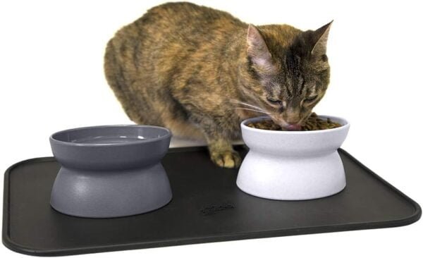 Topsats Kitty City Raised Cat Food Bowl Collection/Stress Free Pet Feeder and Waterer and Slow Feed Bowls