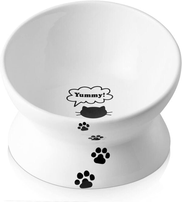 Topsats Cat Bowl Anti Vomiting, Raised Cat Food Bowls, Tilted Elevated Cat Bowl, Ceramic Pet Food Bowl for Flat Faced Cats, Small Dogs, Protect Pet’s Spine, Dishwasher Safe