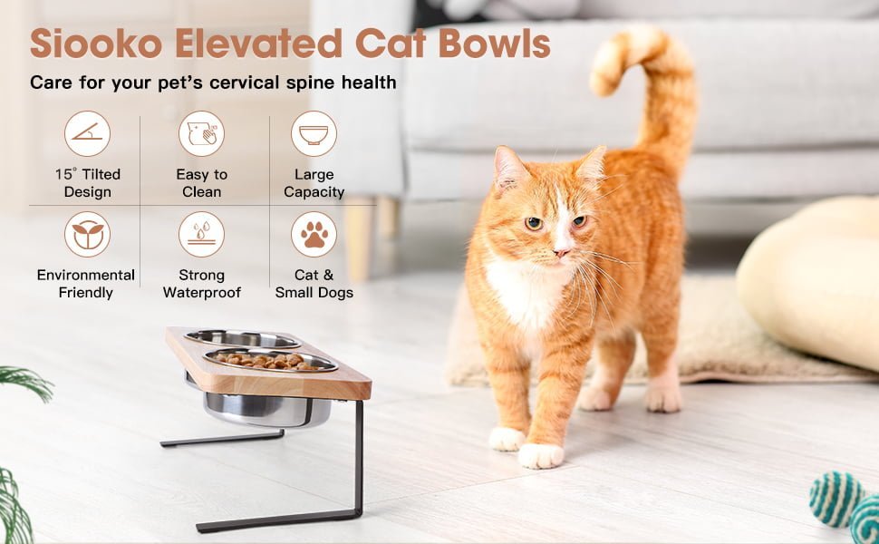 cat bowls elevated tilted