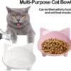 Topsats Cat Bowl Cat Food Bowls Non Slip Dog Dish Pet Food Bowls Shallow Cat Water Bowl Cat Feeding Wide Bowls to Stress Relief of Whisker Fatigue Pet Bowl of Rabbits Puppy(Safe Food-Grade)