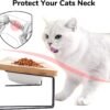 Topsats Elevated Cat Ceramic Bowls, Small Dog 15?? Tilted Raised Food Feeding Dishes, Solid Bamboo Water Stand Feeder Set for Cats and Puppy