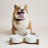 Topsats Dog Bowls Ceramic, Bowl Set with Acacia Wood Stand, 3 Cups Dog Food and Water Bowl for Small Medium Sized, Weighted Dog, Pet Bowls