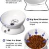 Topsats Cat Bowl Anti Vomiting, Raised Cat Food Bowls, Tilted Elevated Cat Bowl, Ceramic Pet Food Bowl for Flat Faced Cats, Small Dogs, Protect Pet’s Spine, Dishwasher Safe