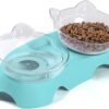 Topsats Cat Food Bowls Elevated Tilted, Anti Vomiting Orthopedic Kitty Bowls for Puppy and Bunny, Indoor Cats.