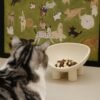 Topsats Four-Legs Ceramic Cat??s Bowl, Chubby Cute Pet Bowls, Matte Cr??me