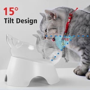 Pet Food Water Bowl with 15°Tilted Raised