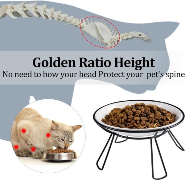 Topsats Cat Bowls, Elevated Cat Bowl, Raised Ceramic Cat Dish with Metal Stand, Pet Water or Food Feeding Station for Indoor Cats, Kitten, Puppies and Small Dogs(2 Pack)