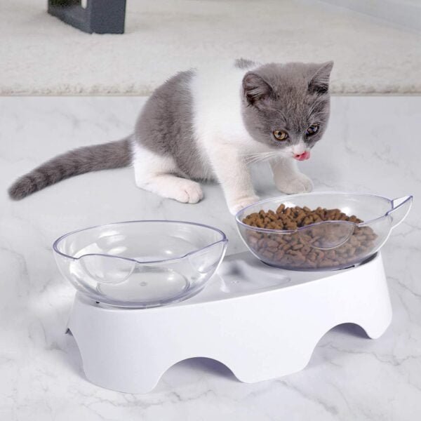 Topsats Cat Food Bowls Elevated Tilted, Anti Vomiting Orthopedic Kitty Bowls for Puppy and Bunny, Indoor Cats.