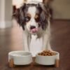 Topsats Ceramic Dog and Cat Bowl with Wood Stand Non-Slip Matte Glaze Weighted Food Water Set for Cats &Small Dogs 13.5OZ