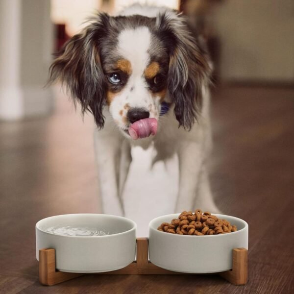 Topsats Ceramic Dog and Cat Bowl with Wood Stand Non-Slip Matte Glaze Weighted Food Water Set for Cats &Small Dogs 13.5OZ