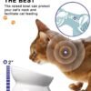 Topsats Cat Bowl Anti Vomiting, Raised Cat Food Bowls, Tilted Elevated Cat Bowl, Ceramic Pet Food Bowl for Flat Faced Cats, Small Dogs, Protect Pet’s Spine, Dishwasher Safe