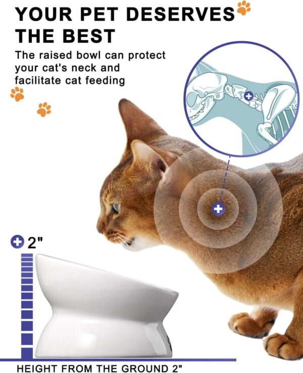 Topsats Cat Bowl Anti Vomiting, Raised Cat Food Bowls, Tilted Elevated Cat Bowl, Ceramic Pet Food Bowl for Flat Faced Cats, Small Dogs, Protect Pet’s Spine, Dishwasher Safe