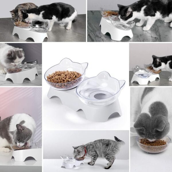 Topsats Cat Food Bowls Elevated Tilted, Anti Vomiting Orthopedic Kitty Bowls for Puppy and Bunny, Indoor Cats.