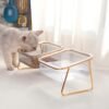 Topsats Elevated Cat Bowls, 5.5 inches Food & Water Bowls 15?? Tilted Raised Food Feeding Dishes with Iron Stand for Cats and Puppy, with 2 Large Bowl and 4 Anti Slip Feet, Dishwasher Safe