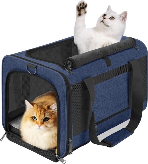 Topsats Pet Carrier for Large Cats 20 lbs+ / Soft Sided Small Dog Travel Carrier Top Load/Collapsible Carrier Bag for Big Cat / 2 Kittens Sturdy Transport Carrier Long Trips/Medium Cats 15 pounds