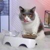 Topsats Cat Food Bowls Elevated Tilted, Anti Vomiting Orthopedic Kitty Bowls for Puppy and Bunny, Indoor Cats.