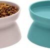 Topsats Kitty City Raised Cat Food Bowl Collection/Stress Free Pet Feeder and Waterer and Slow Feed Bowls