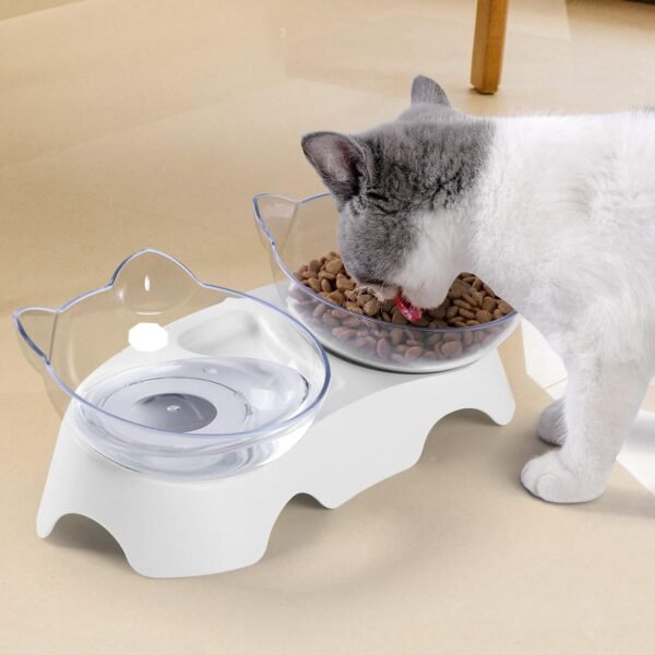 Topsats Cat Food Bowls Elevated Tilted, Anti Vomiting Orthopedic Kitty Bowls for Puppy and Bunny, Indoor Cats.