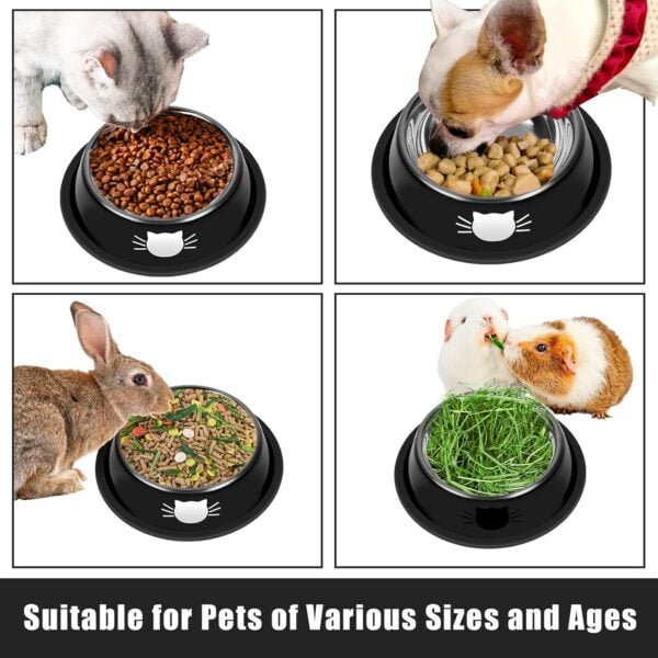 Topsats 2Pcs Cat Bowls Non-Slip Stainless Steel Small Cat Food Bowls Unbreakable Thicken Cat Feeder 7 Oz Cat Dishes Suitable for Indoor Small Pets Removable Rubber Base Easily Clean Lovely Color