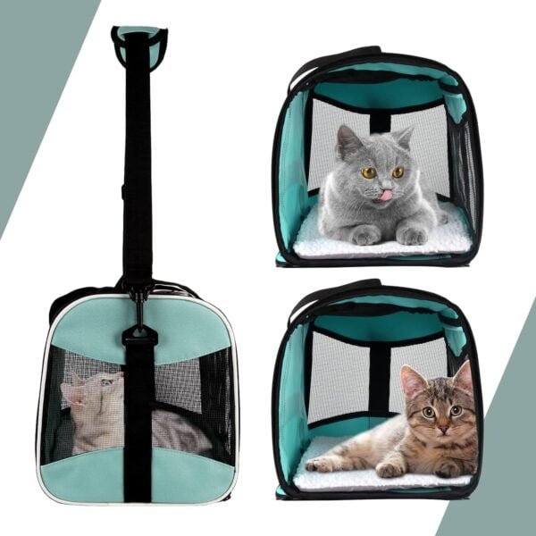 Topsats Cat Carrying Case Pet Dog Carrier Soft-Sided Cat Bag Airline Approved, Pet Travel Carrier Up to 15 Lbs, Collapsible Cat Carrier Dog Carrier for Medium Cats Small Cats Dogs(17x11x11 green)