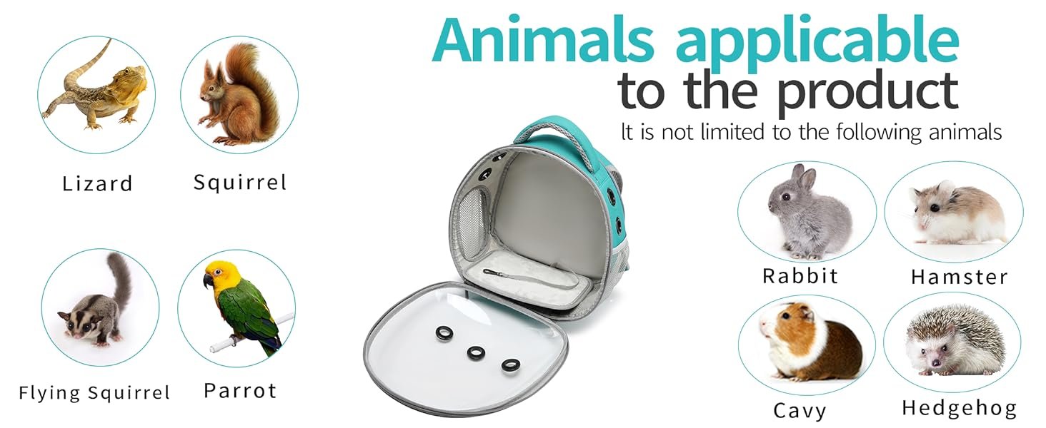 small animal carrier