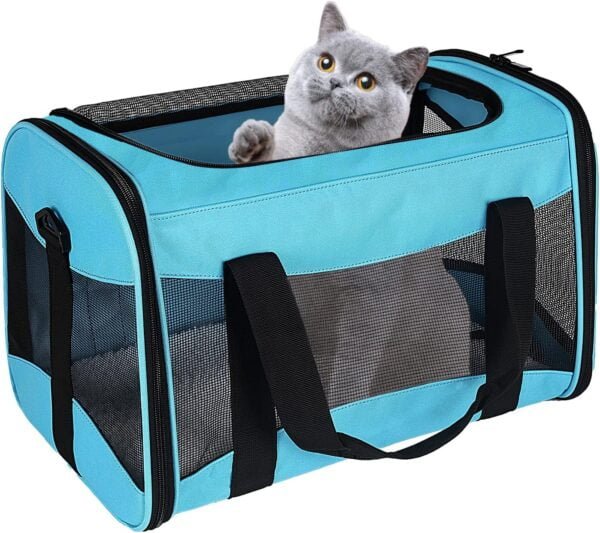 Topsats Cat Carrying Case Pet Dog Carrier Soft-Sided Cat Bag Airline Approved, Pet Travel Carrier Up to 15 Lbs, Collapsible Cat Carrier Dog Carrier for Medium Cats Small Cats Dogs(17x11x11 green)