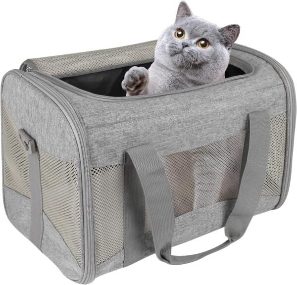 Topsats Cat Carrying Case Pet Dog Carrier Soft-Sided Cat Bag Airline Approved, Pet Travel Carrier Up to 15 Lbs, Collapsible Cat Carrier Dog Carrier for Medium Cats Small Cats Dogs(17x11x11 green)