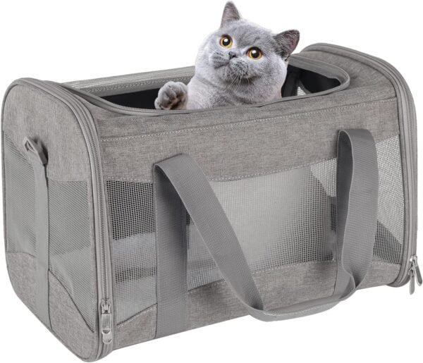 Topsats Cat Carrying Case Pet Dog Carrier Soft-Sided Cat Bag Airline Approved, Pet Travel Carrier Up to 15 Lbs, Collapsible Cat Carrier Dog Carrier for Medium Cats Small Cats Dogs(17x11x11 green)