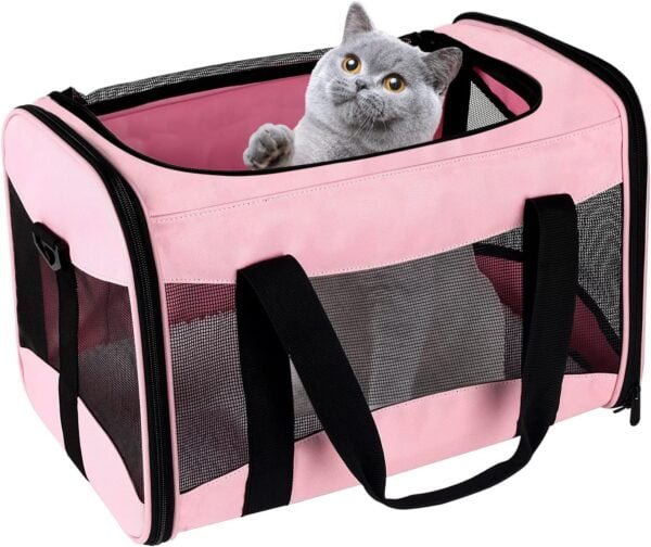 Topsats Cat Carrying Case Pet Dog Carrier Soft-Sided Cat Bag Airline Approved, Pet Travel Carrier Up to 15 Lbs, Collapsible Cat Carrier Dog Carrier for Medium Cats Small Cats Dogs(17x11x11 green)