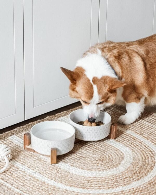 Topsats Dog Bowls Ceramic, Bowl Set with Acacia Wood Stand, 3 Cups Dog Food and Water Bowl for Small Medium Sized, Weighted Dog, Pet Bowls