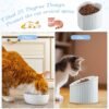 2 Pcs Ceramic Elevated Cat Bowls Tilted Elevated Raised Cat Bowls Anti Vomit Cat Bowls for Indoor Cats Stress Free Water Dish Feeder for Cats Puppies, Heart Shaped(Pearly White)