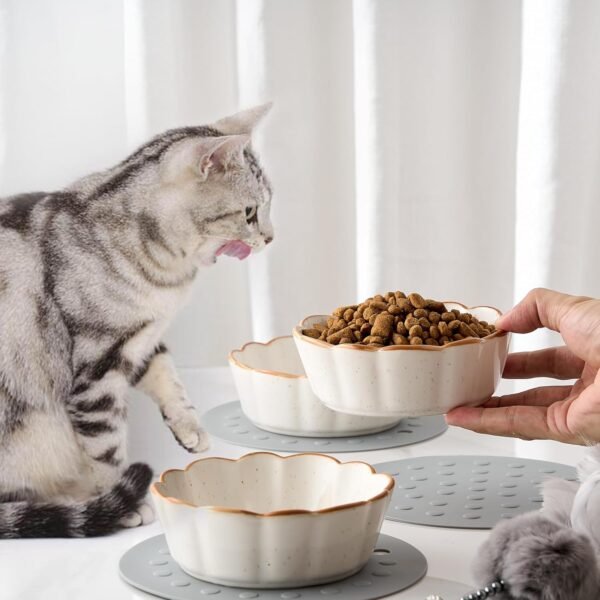 Topsats Cat Bowls – 3 Pieces Cat Food Bowl Cat Dishes with Silicone Non-Slip Mats, 5 Inches Cat Bowls for Indoor Cats, Ceramic Cat Food and Water Bowl Set Gift for Pet Lovers – White