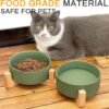 Topsats Ceramic Pet Bowls for Dog and Cat, No Spill Dog Food and Water Bowl Set with Anti-Slip Wooden Stand, Riased Puppy Feeding Dishes Suitable for Small, Medium and Large Cats Dogs, Green 28 OZ