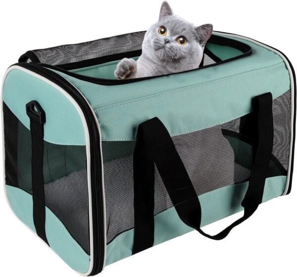 Topsats Cat Carrying Case Pet Dog Carrier Soft-Sided Cat Bag Airline Approved, Pet Travel Carrier Up to 15 Lbs, Collapsible Cat Carrier Dog Carrier for Medium Cats Small Cats Dogs(17x11x11 green)