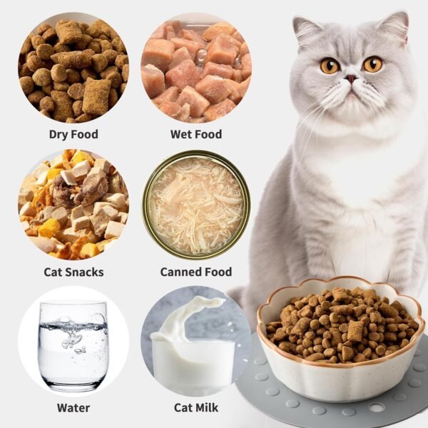 Topsats Cat Bowls – 3 Pieces Cat Food Bowl Cat Dishes with Silicone Non-Slip Mats, 5 Inches Cat Bowls for Indoor Cats, Ceramic Cat Food and Water Bowl Set Gift for Pet Lovers – White