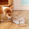 Topsats Elevated Cat Bowls, 5.5 inches Food & Water Bowls 15?? Tilted Raised Food Feeding Dishes with Iron Stand for Cats and Puppy, with 2 Large Bowl and 4 Anti Slip Feet, Dishwasher Safe