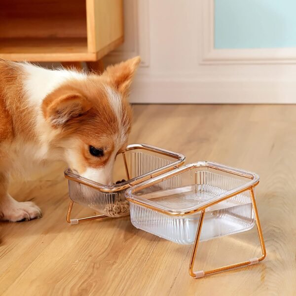 Topsats Elevated Cat Bowls, 5.5 inches Food & Water Bowls 15?? Tilted Raised Food Feeding Dishes with Iron Stand for Cats and Puppy, with 2 Large Bowl and 4 Anti Slip Feet, Dishwasher Safe