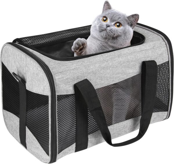 Topsats Cat Carrying Case Pet Dog Carrier Soft-Sided Cat Bag Airline Approved, Pet Travel Carrier Up to 15 Lbs, Collapsible Cat Carrier Dog Carrier for Medium Cats Small Cats Dogs(17x11x11 green)