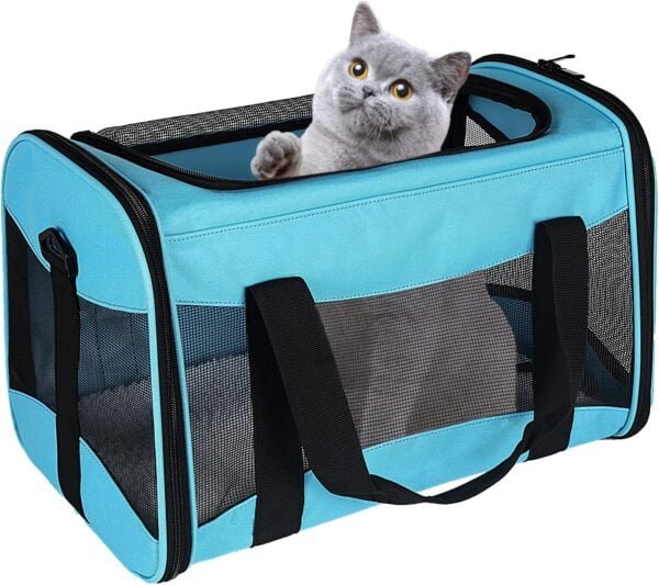 Topsats Cat Carrying Case Pet Dog Carrier Soft-Sided Cat Bag Airline Approved, Pet Travel Carrier Up to 15 Lbs, Collapsible Cat Carrier Dog Carrier for Medium Cats Small Cats Dogs(17x11x11 green)