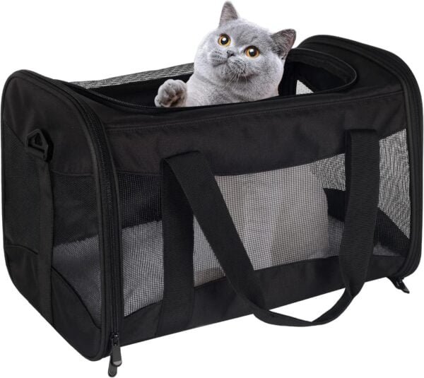 Topsats Cat Carrying Case Pet Dog Carrier Soft-Sided Cat Bag Airline Approved, Pet Travel Carrier Up to 15 Lbs, Collapsible Cat Carrier Dog Carrier for Medium Cats Small Cats Dogs(17x11x11 green)