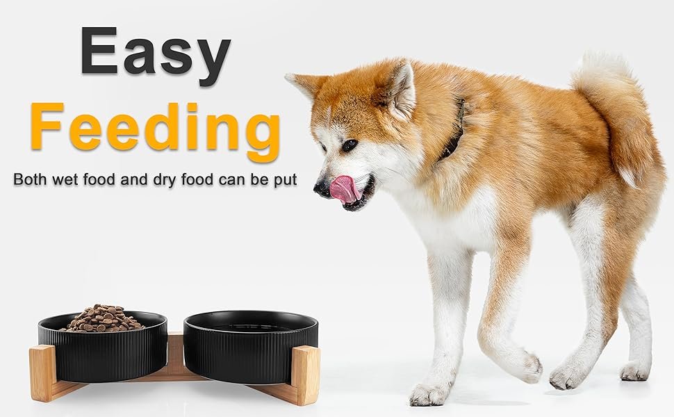 dog feeder