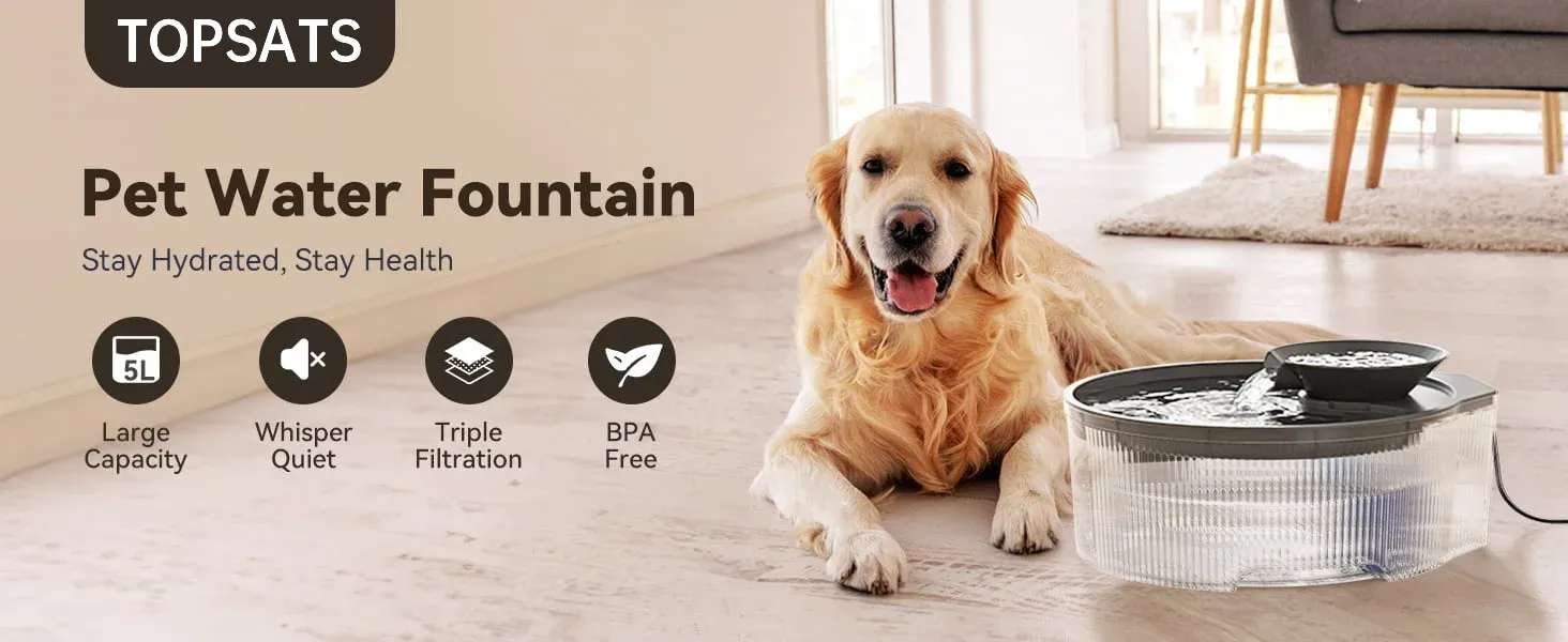 dog water fountain