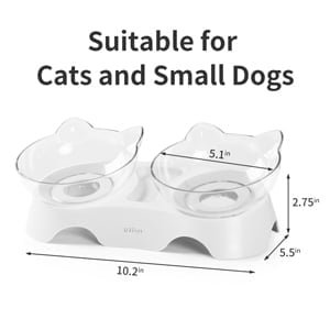 Pet Food Water Bowl with 15°Tilted Raised