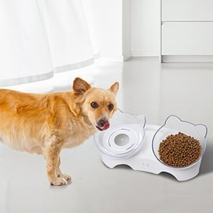 Pet Feeding Bowl for Cats and Small Dogs 