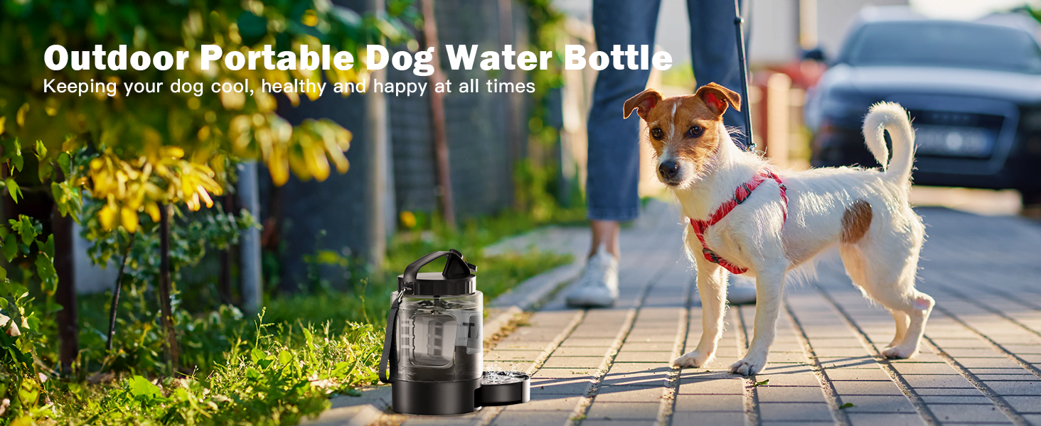 travel water bottle dogs travel water bowls for dogs travel water bottle for dogs water bottles